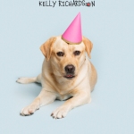 Yellow Labrador Retriever Puppy Dog wearing a pink birthday party hat Blue background