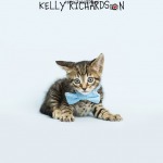 Tiny brown tabby kitten wearing a blue bow tie, light blue background.
