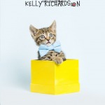 Tiny brown tabby kitten playing in a yellow gift box, light blue background.