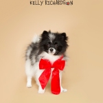Ellie Black and White Pomeranian Puppy Red Bow tan background