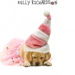 Yellow labrador puppy wearing a girly pink and white striped santa hat and a pink skirt, isolated,