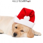 Yellow Labrador puppy wearing a santa hat, isolated on white