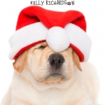 Yellow Labrador puppy wearing a santa hat, isolated on white