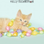 Orange Tabby Kitten playing with easter garland decoration