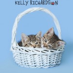 Twin Hemingway kittens insdie a pale blue easter basket