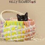 Black kitten in easter basket