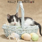 Kitten in light blue wood woven easter basket with straw and eggs