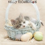 Kitten in light blue wood woven easter basket with straw and eggs