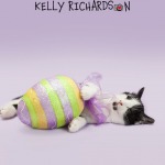 Kitten sleeping with large easter egg decoration on purple
