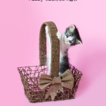 Tiny baby Kitten playing in brown basket, pink background.
