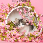 Young Kitten inside basket with pink flowers pink background