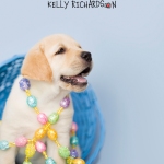 yellow lab easter puppy