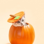 Autumn Theme Kitten Photo