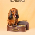 Dachshund Puppy dog With brown suitcase and glasses