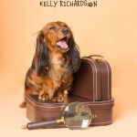 Dachshund Puppy dog With brown suitcase and glasses