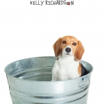 Beagle dog named Lucy inside wash tub