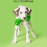 Dalmatian Puppy celebrates St. Patrick's Day