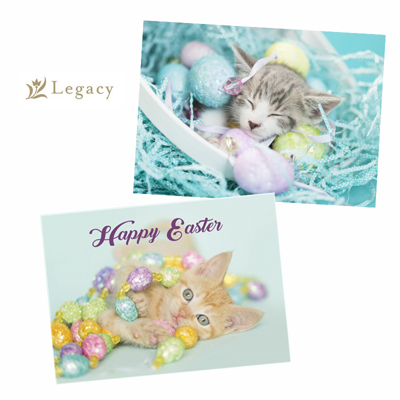 Legacy greeting Card kelly Richardson Photography