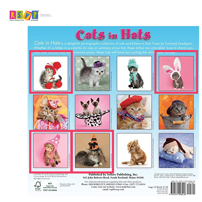 Cats in Hats Calendar kitten