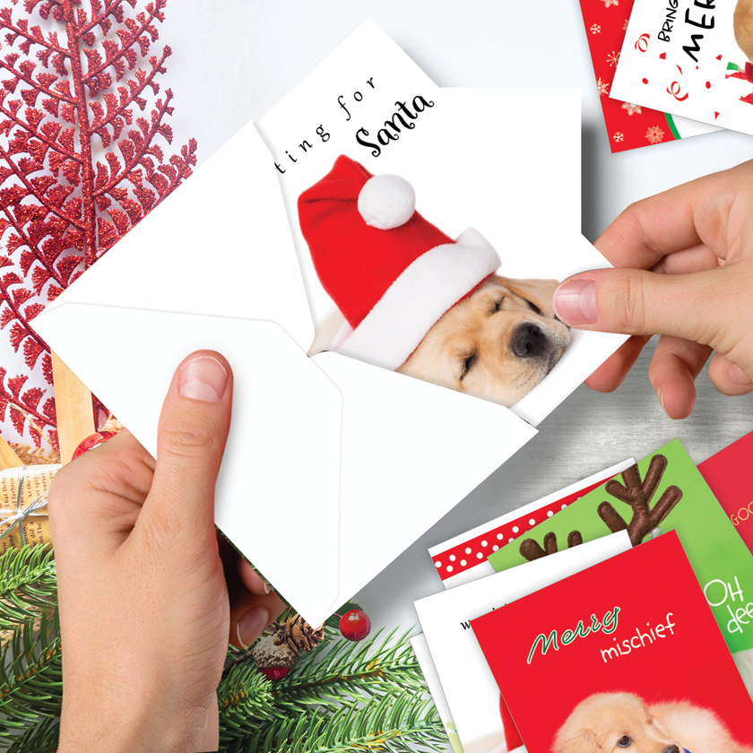 Nobleworks Happy Holidays Christmas Puppies Greeting cards