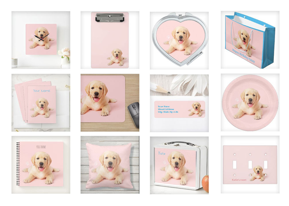 Versatile pet images have blend-able backgrounds and isolated pet subjects.